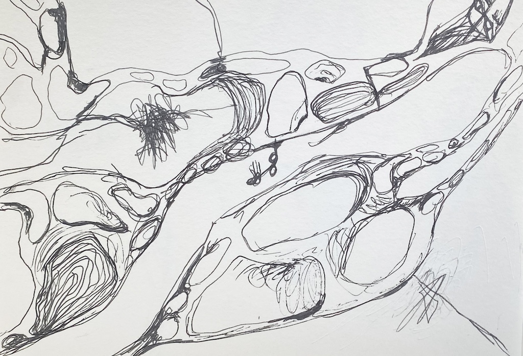 8-im-nachklang_pilz9_50x60cm_tusche-auf-papier_havin-al-sindy.jpeg