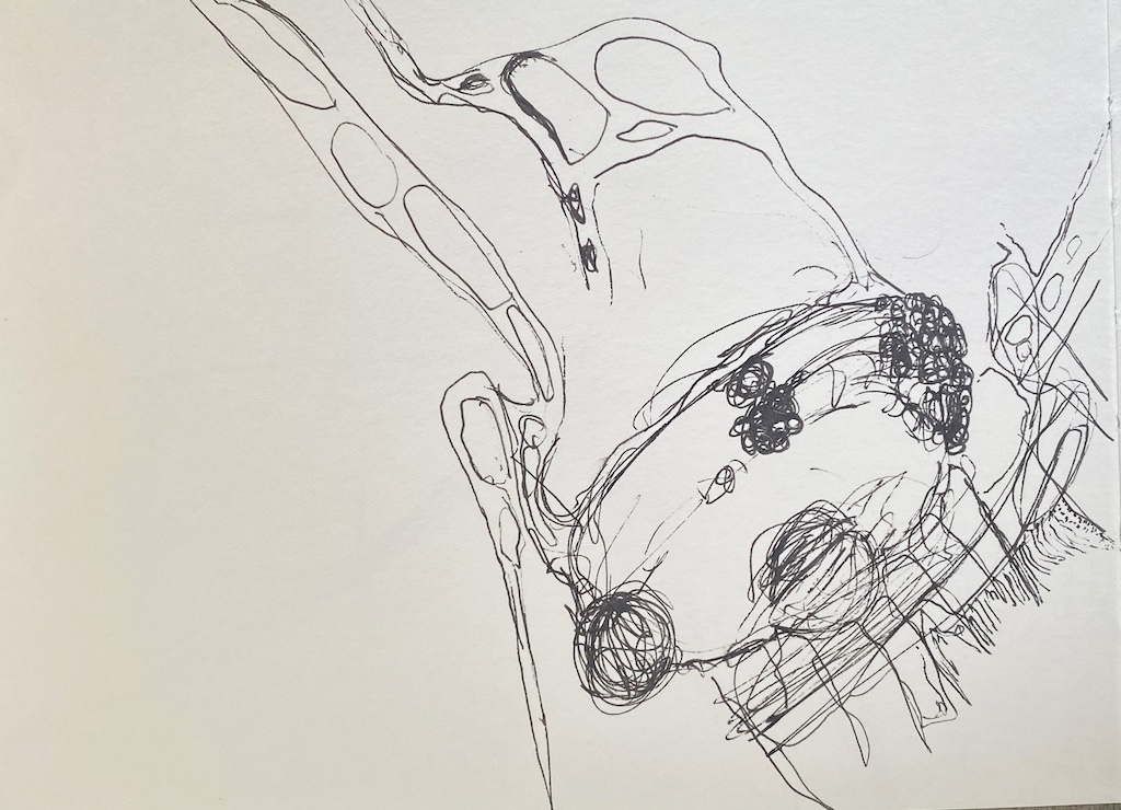 4-im-nachklang_pilz4_40x60cm_tusche-auf-papier_havin-al-sindy.jpeg