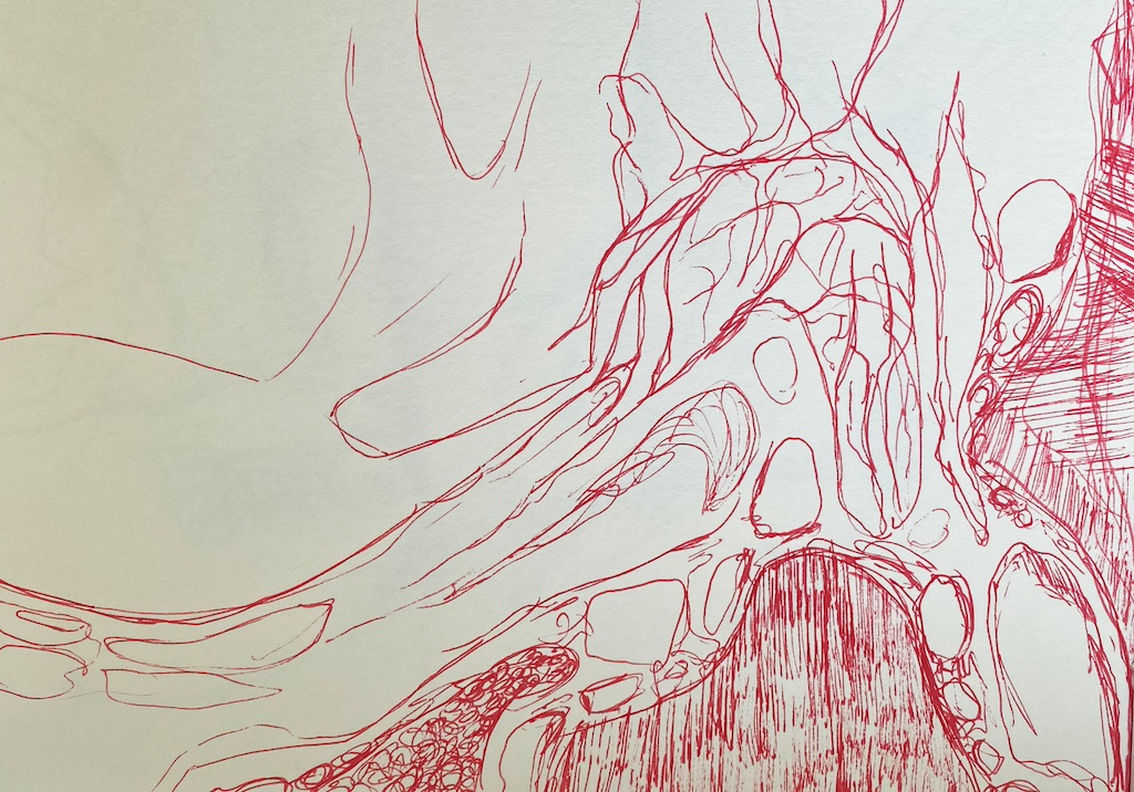 6-im-nachklang_pilz7_30x40cm_tusche-auf-papier_havin-al-sindy.jpeg