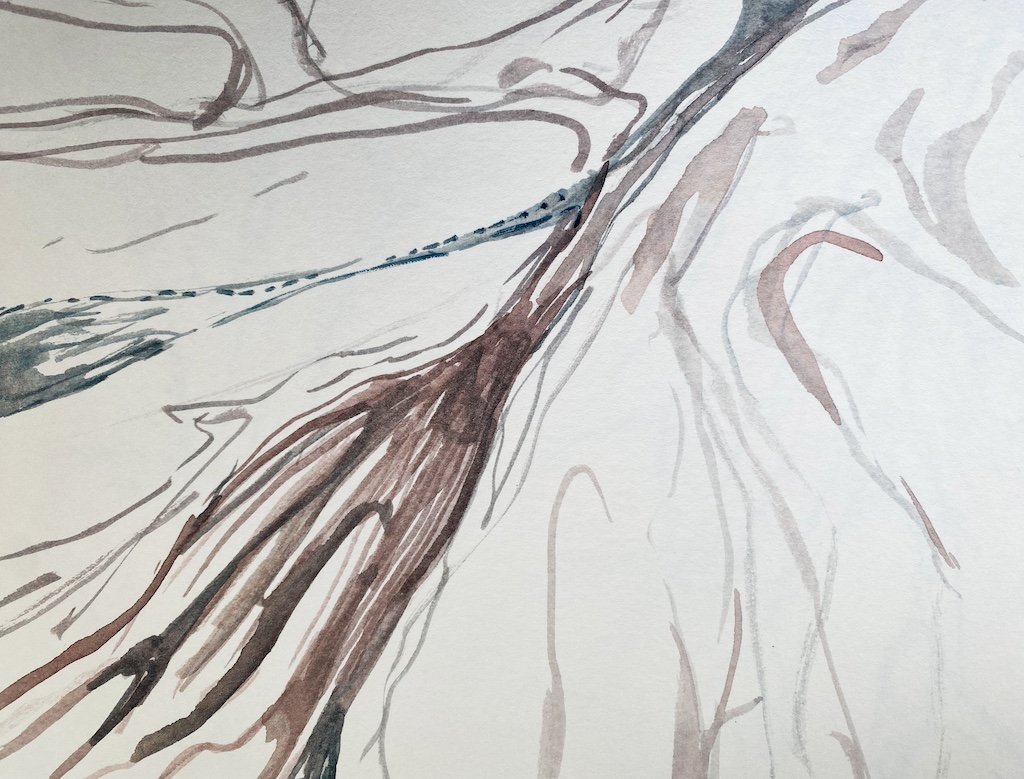 2-im-nachklang_pilz2_29cmx30cm_aquarell-auf-papier_havin-al-sindy.jpeg