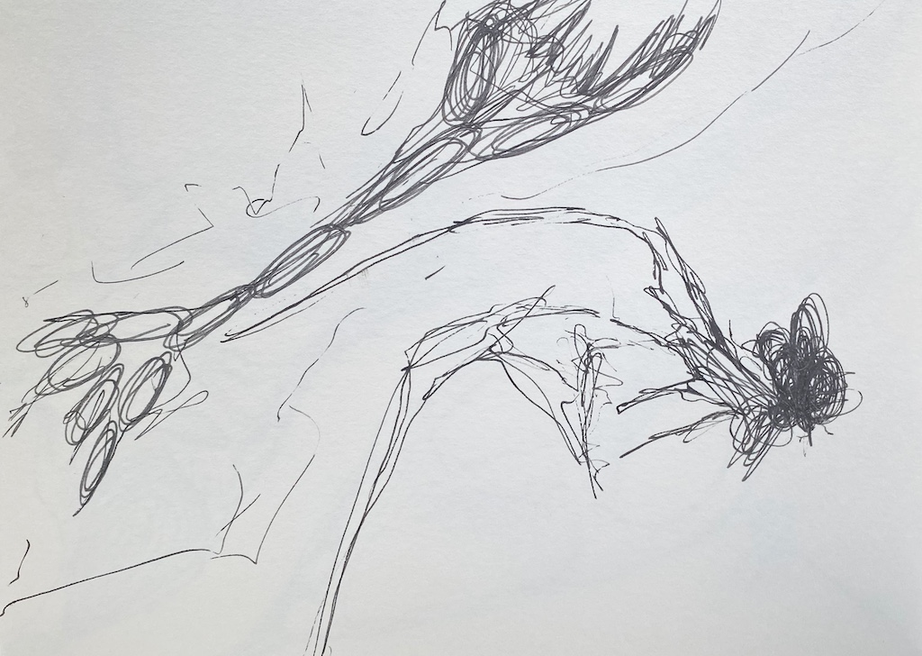 9-im-nachklang_pilz10_30x40cm-tusche-auf-papier_havin-al-sindy.jpeg